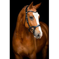 Bridon Montar Monarch leer organisch gelooid Zwart