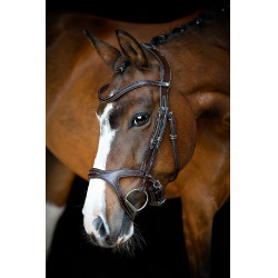 Bridon Montar Monarch leer organisch gelooid Bruin Bridon Montar Monarch leer organisch gelooid Bruin