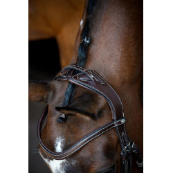 Bridon Montar Monarch leer organisch gelooid Bruin Bridon Montar Monarch leer organisch gelooid Bruin