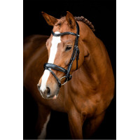 Bridon Montar Normandie cuir tanné Noir Bridon Montar Normandie cuir tanné Noir