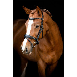 Bridon Montar Normandië gelooid leer Zwart