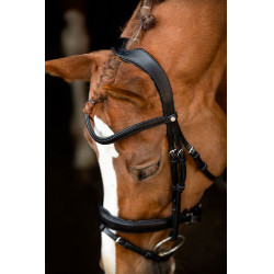 Bridon Montar Normandie cuir tanné Noir