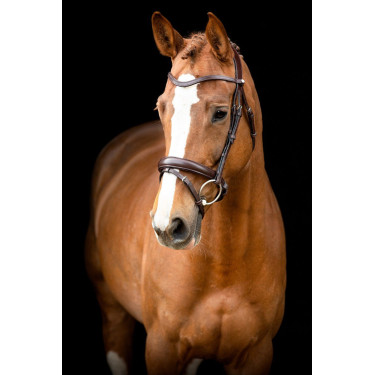 Bridon Montar Normandie cuir tanné Marron Bridon Montar Normandie cuir tanné Marron