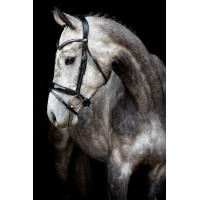 Bridon Montar Normandie Deluxe cuir tanné Noir Bridon Montar Normandie Deluxe cuir tanné Noir