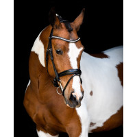 Bridon Montar tétière Anatomique Fair Noir Bridon Montar tétière Anatomique Fair Noir