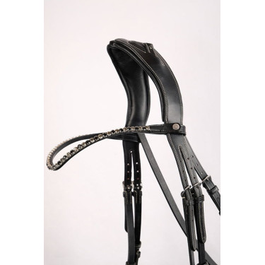 Frontale Monteren Fair kristal zwart gebogen Frontale Monteren Fair kristal zwart gebogen