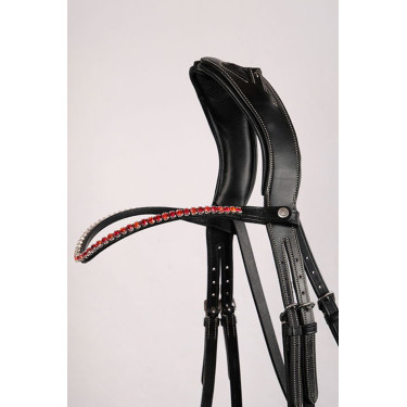 Frontaal Monteren Fair kristal rood gebogen Frontaal Monteren Fair kristal rood gebogen
