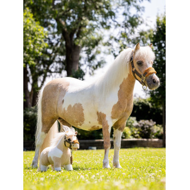 Mini Pony LeMieux Lemon Mini Pony LeMieux Lemon