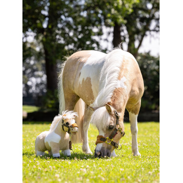 Mini Pony LeMieux Lemon Mini Pony LeMieux Lemon