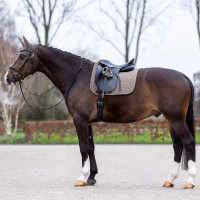 Tapis de selle HV Polo Essential Dressage Brume bleue foncé Tapis de selle HV Polo Essential Dressage Brume bleue foncé