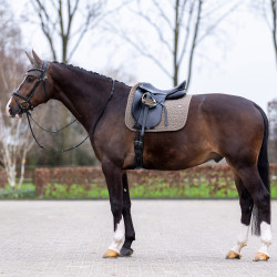 Tapis de selle HV Polo Essential Dressage Stone Gris Tapis de selle HV Polo Essential Dressage Stone Gris