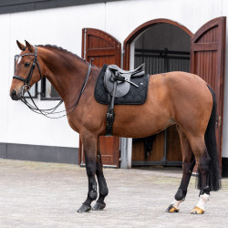 Tapis de selle HV Polo Dana Dressage Noir