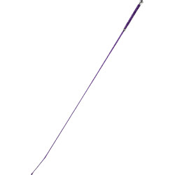 Dressuurzweep Whip & Go Points