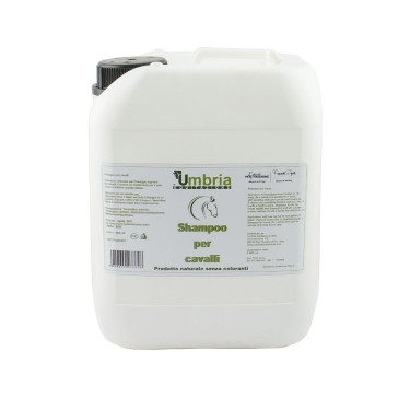 Shampoing pour chevaux Ama 5 L Umbria Equitazione Shampoing pour chevaux Ama 5 L Umbria Equitazione