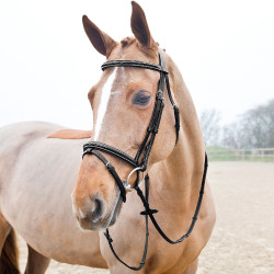 Rubberen teugels Fine Prise Horze met stops Rubberen teugels Fine Prise Horze met stops