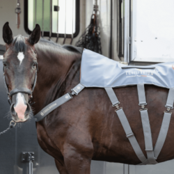 Tapis de massage chauffant Equilibrium Gris Tapis de massage chauffant Equilibrium Gris