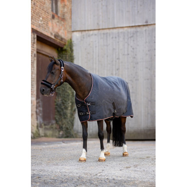 Waterdichte deken Pony Pegasus Horze 200 g Waterdichte deken Pony Pegasus Horze 200 g