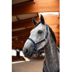Licol Delémont Horze Bleu arctique