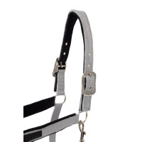 Halster Delémont Horze Metaal­legering Grijs