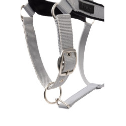 Halster Delémont Horze Metaal­legering Grijs
