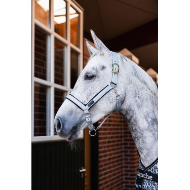 Halster Delémont Horze Metaal­legering Grijs