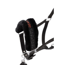 Licol et longe poney Pegasus Horze Noir