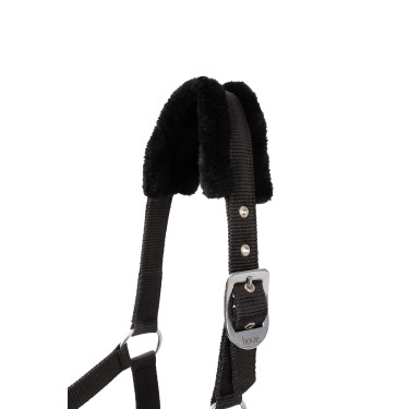 Halster en longe pony Pegasus Horze Halster en longe pony Pegasus Horze