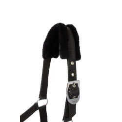 Licol et longe poney Pegasus Horze Noir