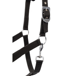 Licol et longe poney Pegasus Horze Noir