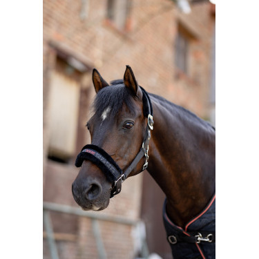 Halster en longe pony Pegasus Horze Halster en longe pony Pegasus Horze