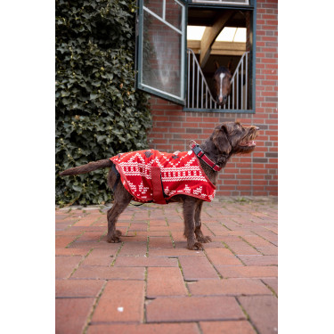 Kerstdeken hond Horze Rood
