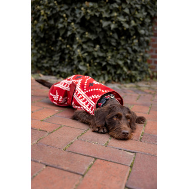 Kerstdeken hond Horze Rood