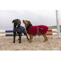 Couverture polaire Diego & Louna Teddy Bordeaux