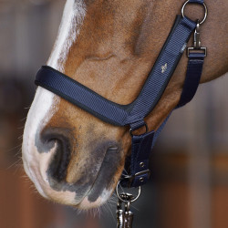 Licol HV Polo Essential Marine Bleu marine