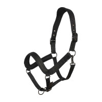 Licol HV Polo Essential Noir