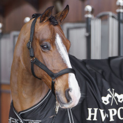 Licol HV Polo Essential Noir Licol HV Polo Essential Noir