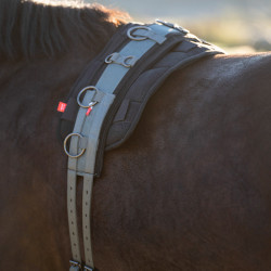 Nylon werk-singel Imperial Riding Deluxe Extra Donkergroen Blauw