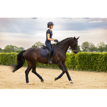 Collants d'equitation Euro-Star Flying Fundamental FullGri Collants d'equitation Euro-Star Flying Fundamental FullGri