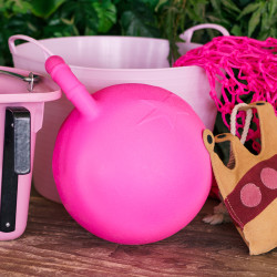Ballon pour chevaux 25 cm Imperial Riding Ballon pour chevaux 25 cm Imperial Riding