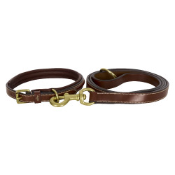 Halsband van de hond HV Polo Legacy Bruin Halsband van de hond HV Polo Legacy Bruin