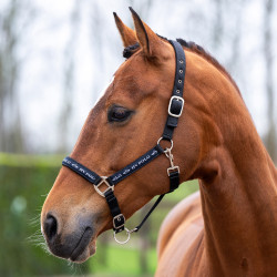 Licol HV Polo Nena Marine