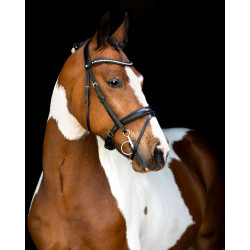 Bridon Montar tétière Anatomique Fair Noir