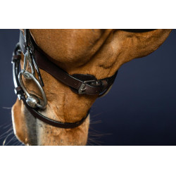 Bridon Cuir Plat Avec Mousquetons Working by Dy'on Noir Bridon Cuir Plat Avec Mousquetons Working by Dy'on Noir