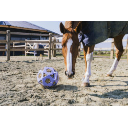 Speelbal / hooirol Kentucky Speelbal / hooirol Kentucky