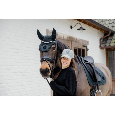 Pet 3D Logo Kentucky Bleu poudreux