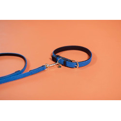 Hondenriem Gevlochten Nylon 200 cm Kentucky Hondenriem Gevlochten Nylon 200 cm Kentucky