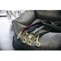 Laisse pour chien Plaited Nylon 200 cm Kentucky Bordeaux