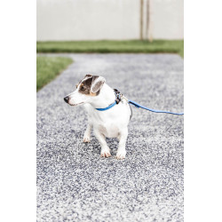 Hondenriem Gevlochten Nylon 200 cm Kentucky Hondenriem Gevlochten Nylon 200 cm Kentucky