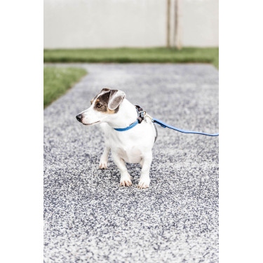 Hondenriem Gevlochten Nylon 200 cm Kentucky Hondenriem Gevlochten Nylon 200 cm Kentucky