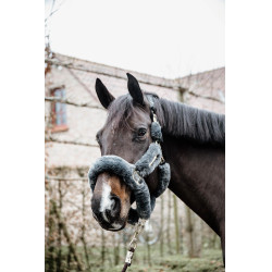 Têtière Licol de transport mouton Kentucky Gris